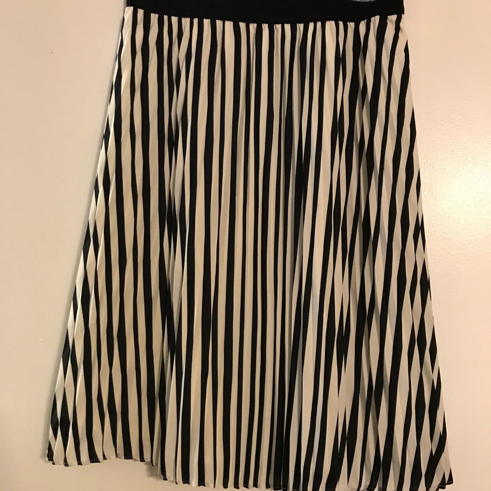NWOT Ann Taylor Pleated Skirt